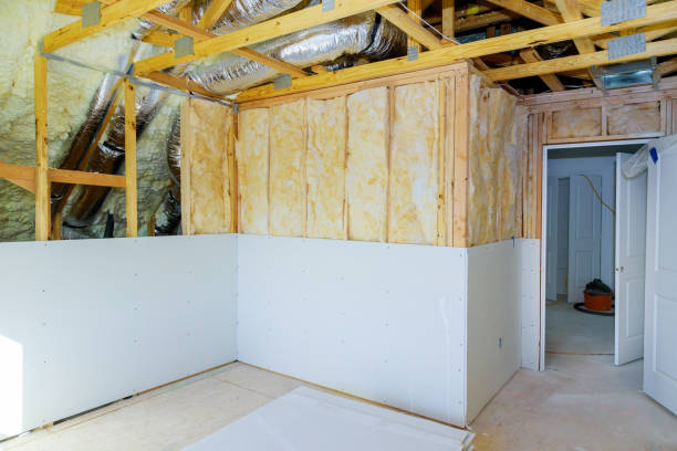 Best Batt and Roll Insulation  in Windsor, VA