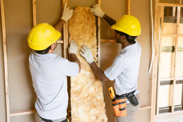 Best Reflective Insulation  in Windsor, VA