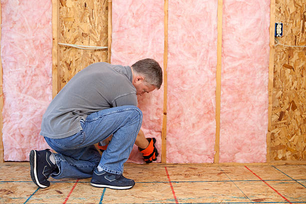 Best Wall Insulation Installation  in Windsor, VA